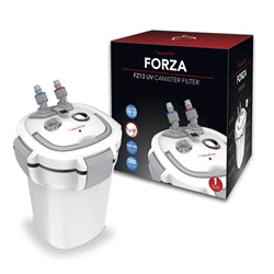 Forza FZ13
